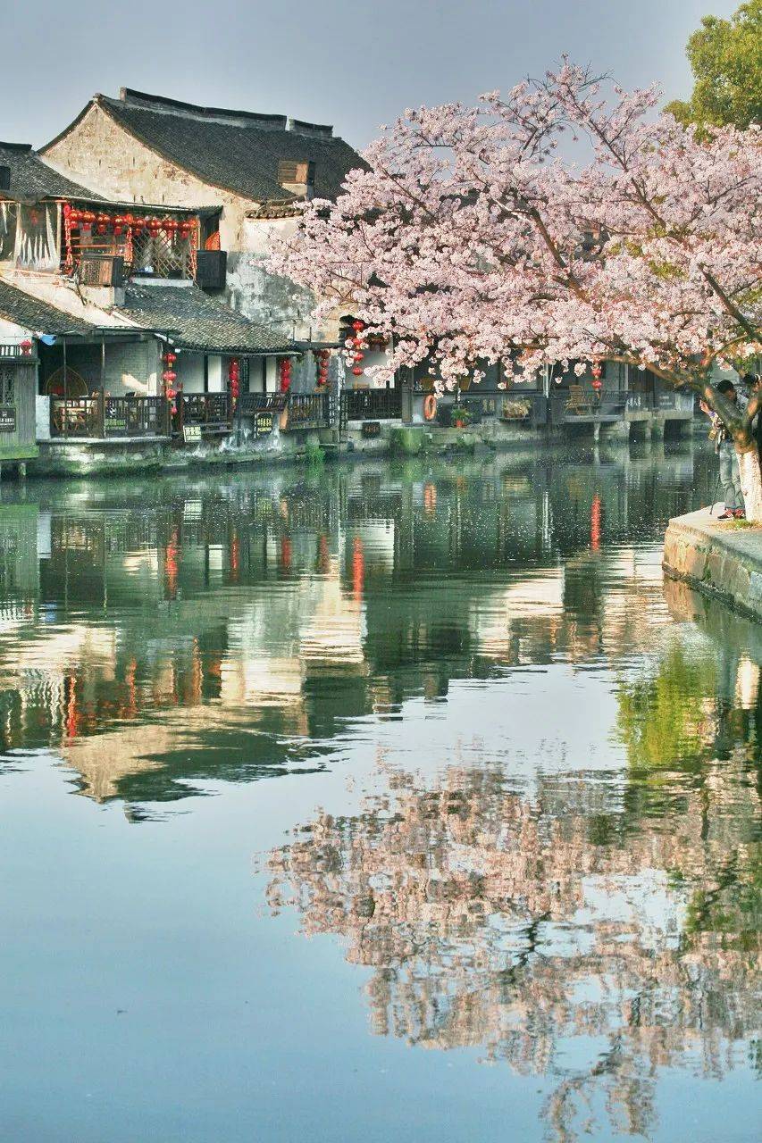 浙江免费的古村镇，都在这里了，春天去刚刚好！