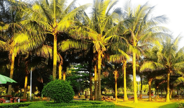 海南一景区走红，耗费巨资打造门票免费，被称为海口“后花园”