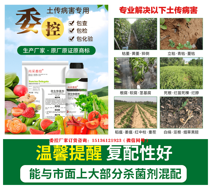 豆角红根病的危害和防治 治疗豆角红根病用什么药好 发病
