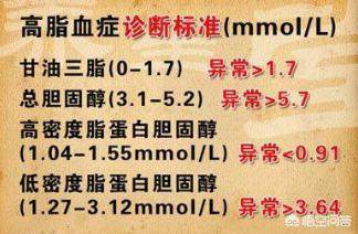 高血脂是哪几个指标高 26d0efae24ed4c3281990bdfc2b9d7c0.jpeg