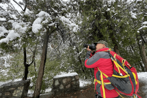 一夜之间，临沂迎来今年第一场春雪！蒙山绝美山河，绽放出另一种美