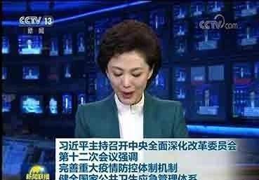 新闻联播回放海霞 c9d66ea319324e478412f40cc46f0576.jpeg