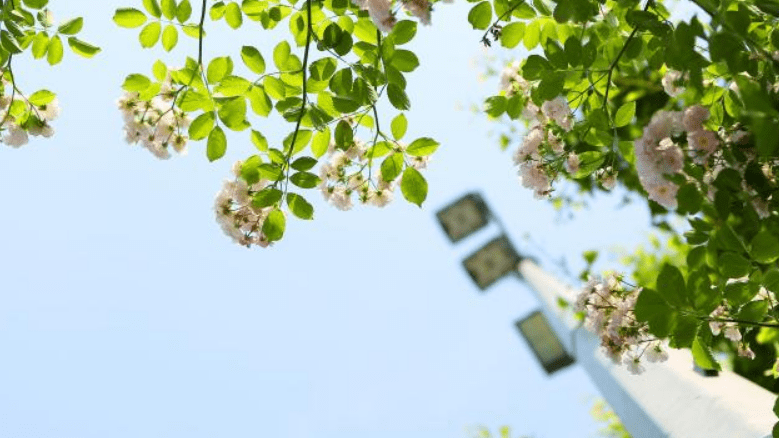 教育学最好的10半岛电竞所大学毕业轻松当老师就业稳考上很有面子(图1)