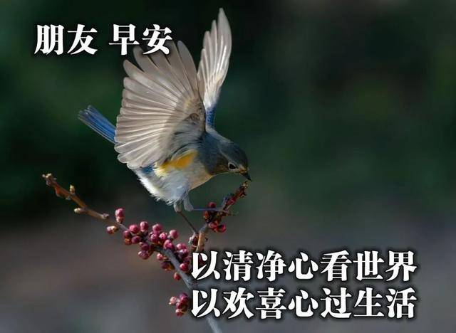 4870ab3c195648adaa4416b9a7f30edd.jpeg