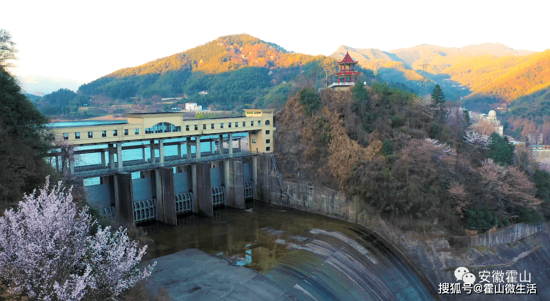 山花烂漫佛子岭