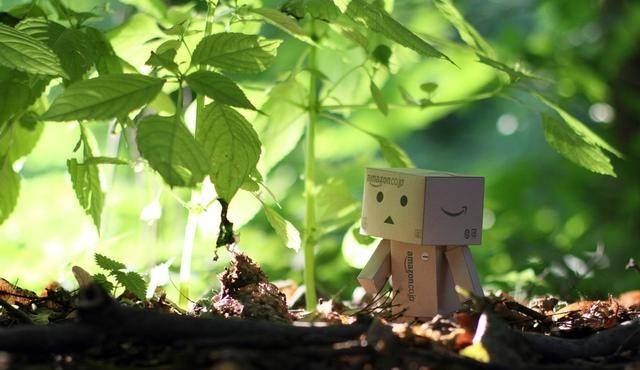 五行属水生木是什么 7093aa62aa5a481aa085eaed285abb1c.jpeg