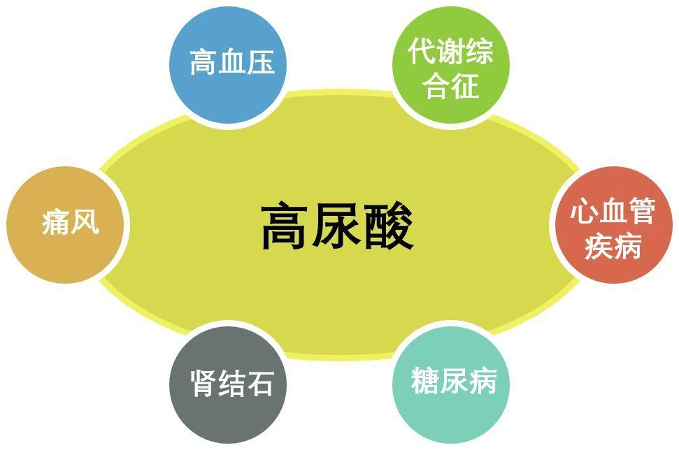 8880e846dc934417be099a1c1b70289b.png