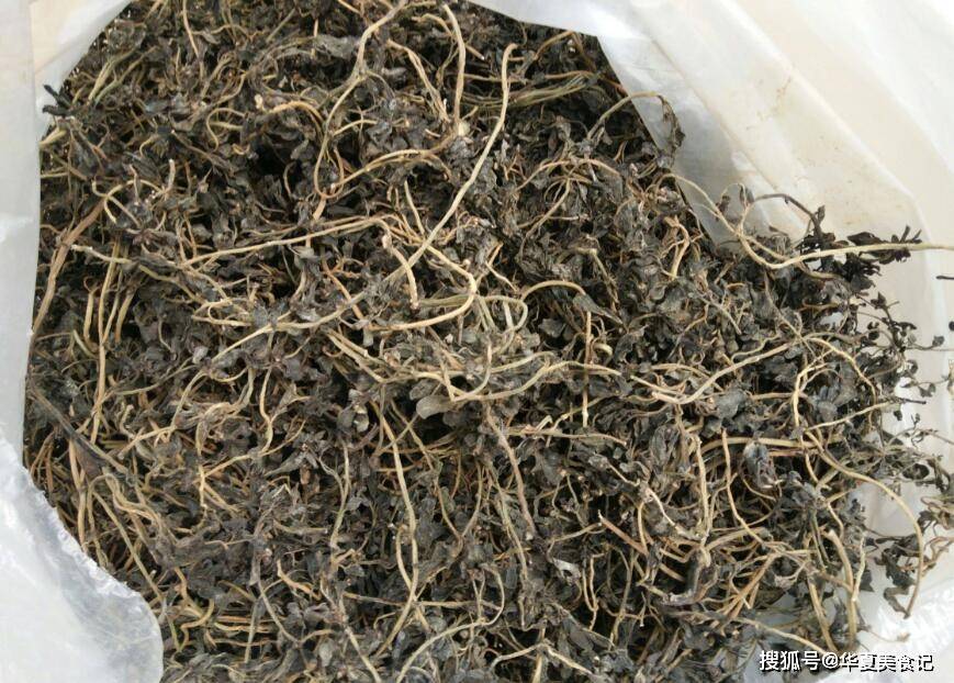 原创农村这野菜晒干更好吃冬天用来做包子馅营养又美味