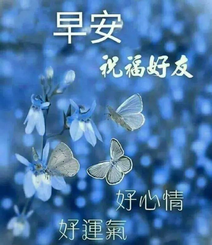 早上問候語短句 祝大家早上好圖片大全 - 早安心語- 不二勵志語錄