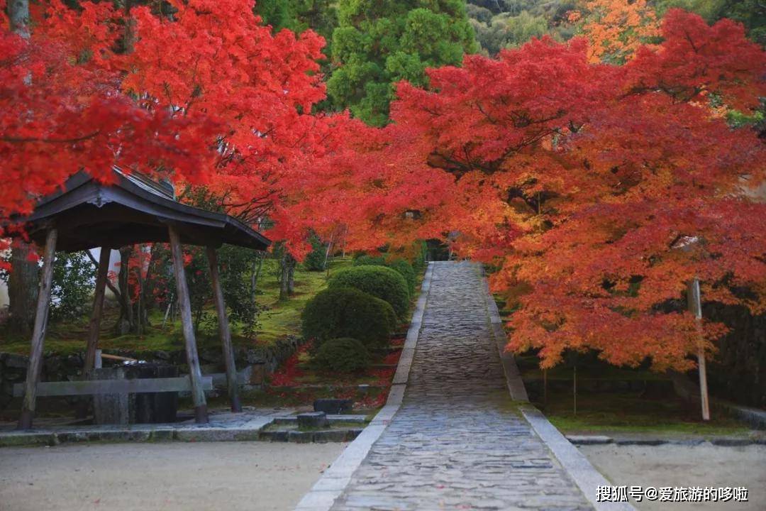 留园网 内行人才知道的9大必访关西秘境 6park Com