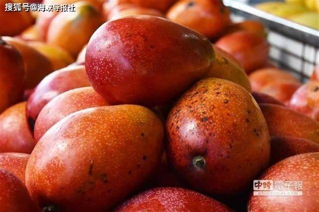 台湾蓝绿人口比_台湾人口变化图