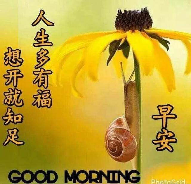 最美丽早安问候祝福语图片温馨早上好问候动态图带字 朋友