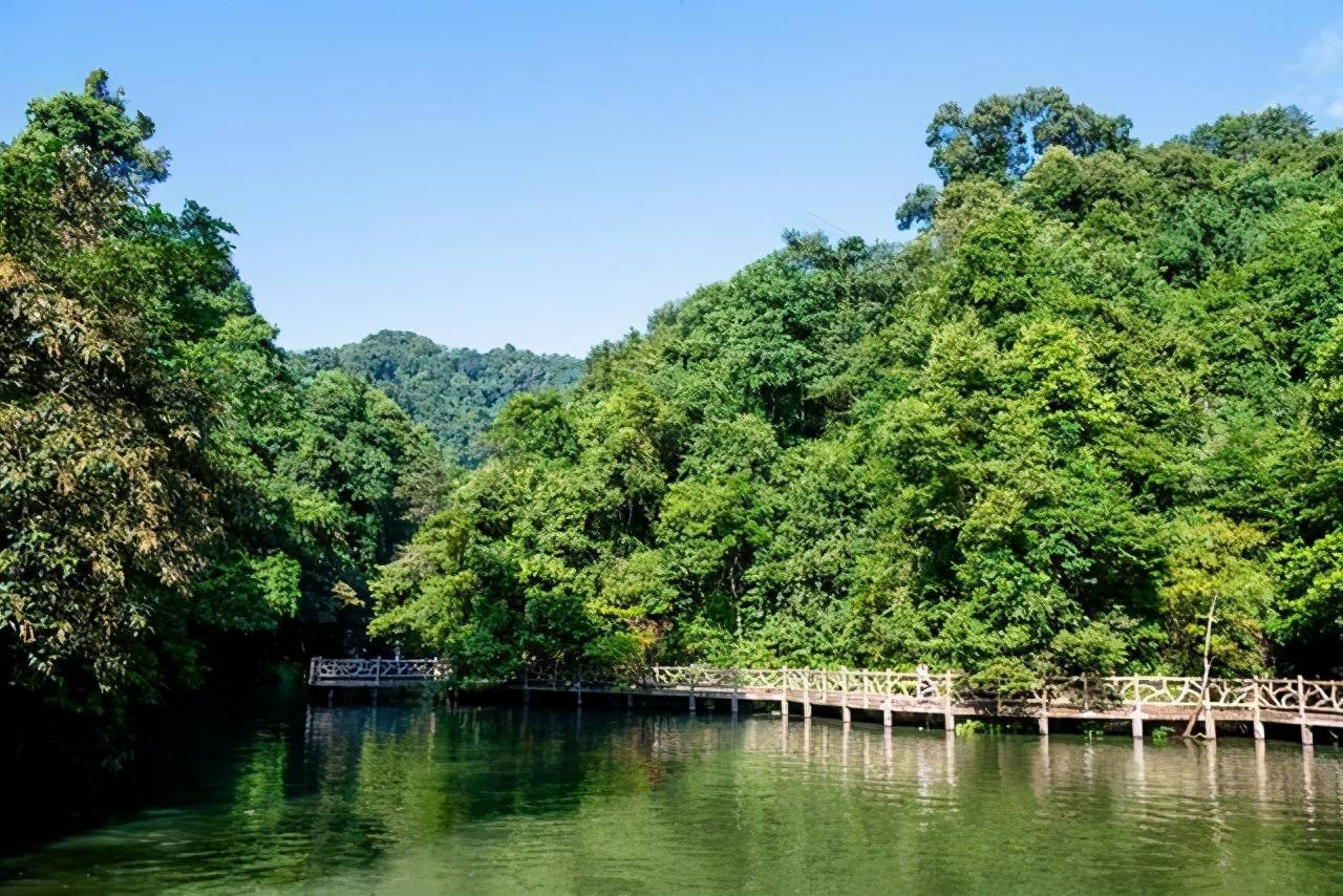 在柳州有处超美的奇幻森林，这里瀑布成群，是清凉一夏的好地方