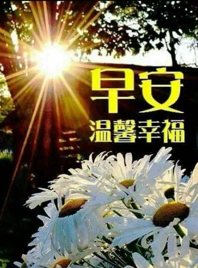 3月3日,早上好祝福語圖片推薦,早安圖片帶字帶問候語