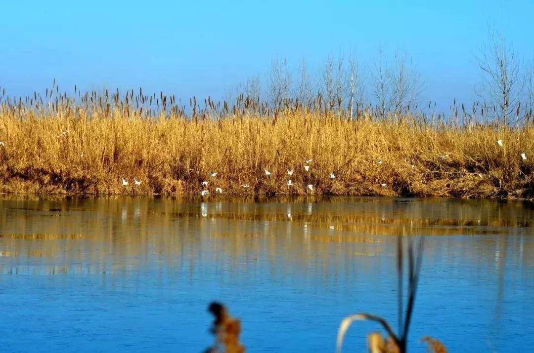 国内四大淡水湖泊 319bf73d0a2744b593c77ca6947946e4.jpeg