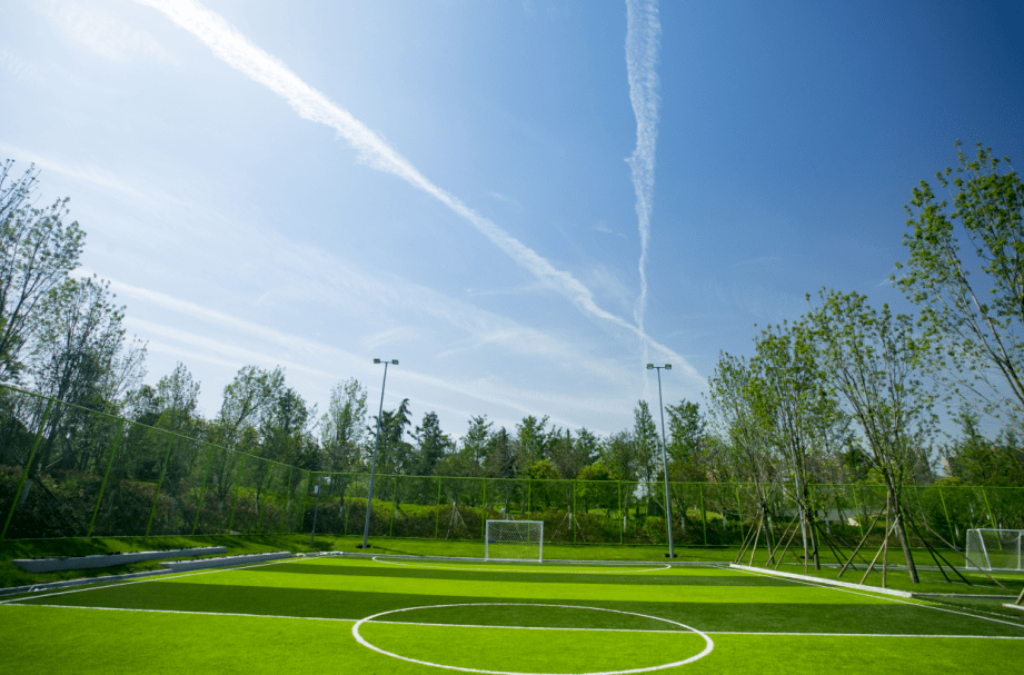 春日正当时运动正当空