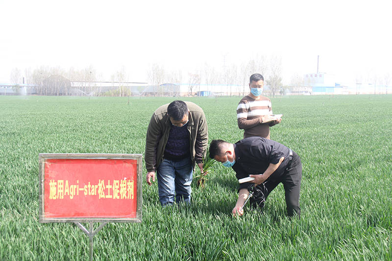 什么是高标准农田有什么用 2c0973410a264c418360ac3df95fe1bd.jpeg