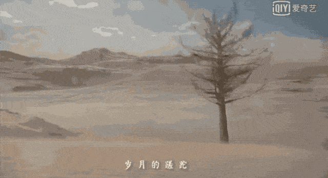中国真实人口是机密吗_爱宠大机密兔子图片