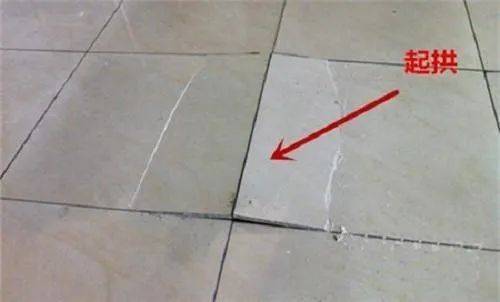 265ceaf4216a4ebabedebaece2b9567f.jpeg