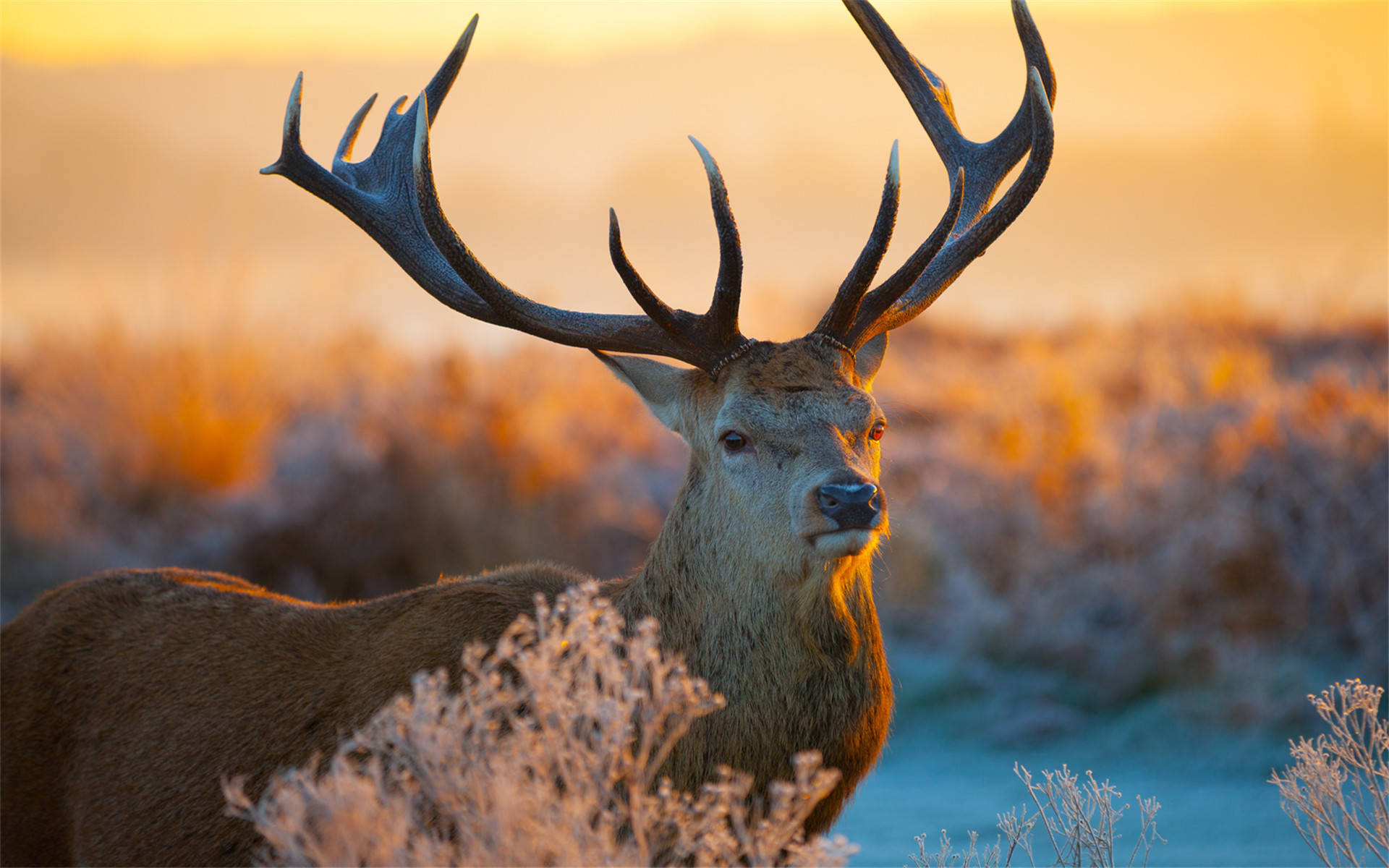 女生说自己是路痴其实是装的路痴心理都是思维和认知的错