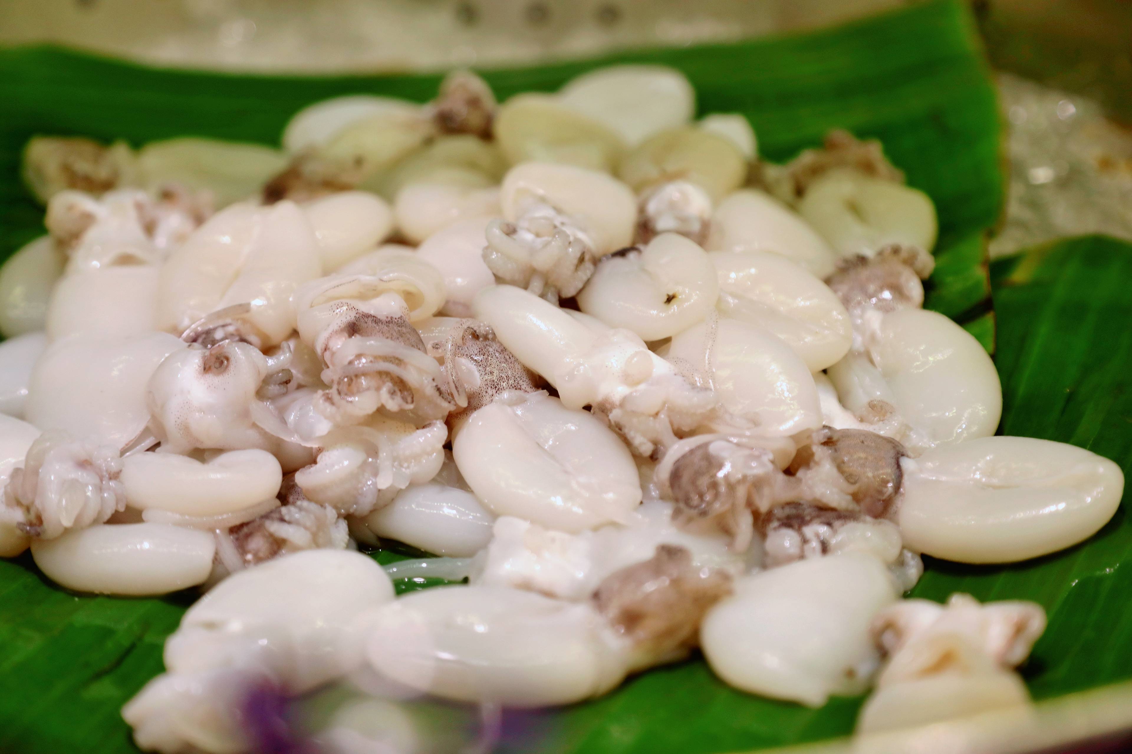 藏不住东莞这个温泉度假酒店超适合亲子家庭一起去玩