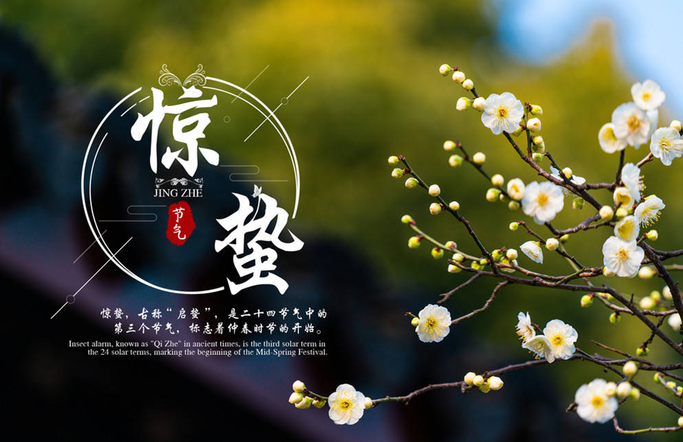 6种应季蔬菜,别错过 6种应季蔬菜,别错过