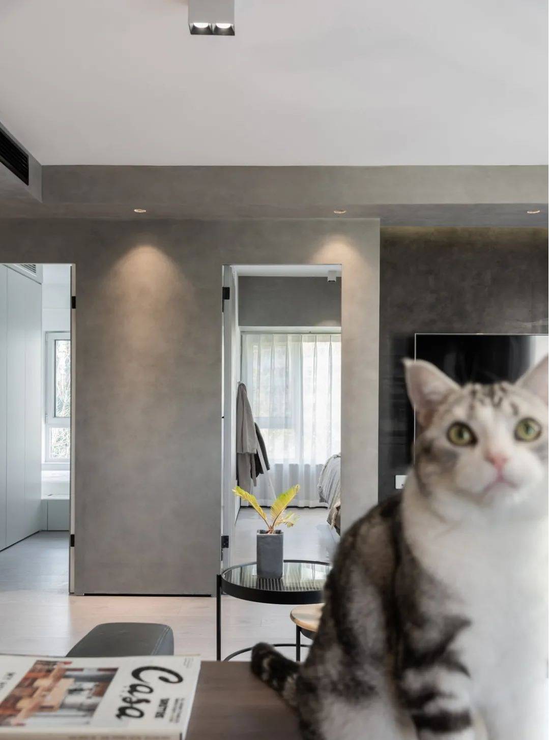 飘窗不能拆怎么做最好 ef006fd6e6324b2ba2e570c9e6849b99.jpeg