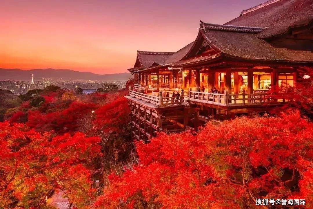 想和你一起，去日本赏红叶~
