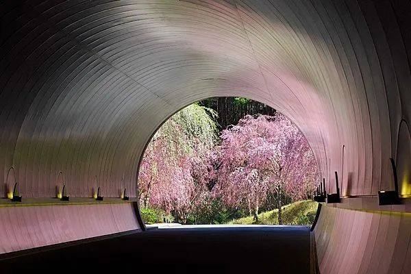 名美美术教育：日本群山之中的桃花源——MIHO美術館