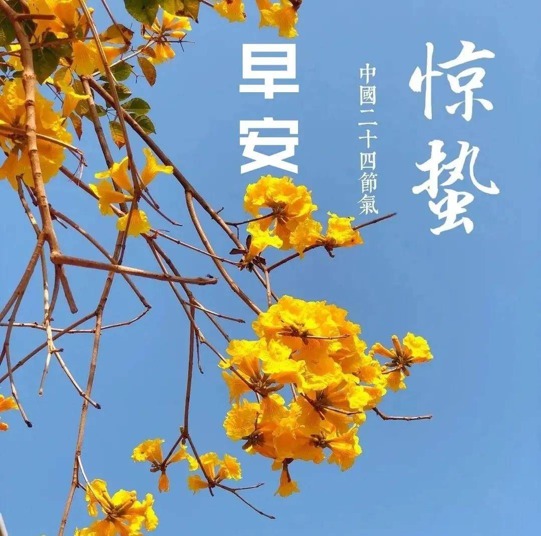 原创2021年3月5日正月廿二惊蛰清晨早上好问候祝福动态表情图片