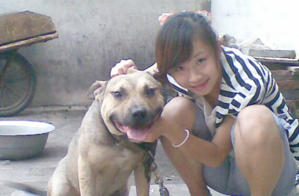 全球惡狗排行榜，「戰神」比特犬第二，中國藏獒沒上榜！ 萌趣萌寵 第2张