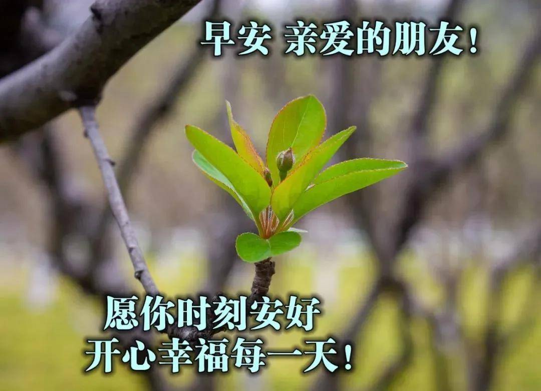 21年3月7日正月廿四清晨早上好问候祝福动态表情图片10张精选 生活