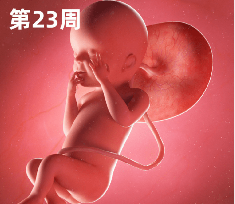 d54faf4601684cecb5ae1b1b20178f12.png