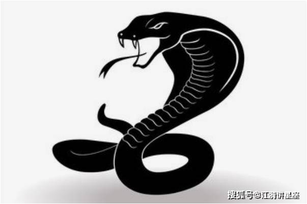 十一月的蛇运势如何 1e4522a8c1284414ae0332e288e8e996.jpeg