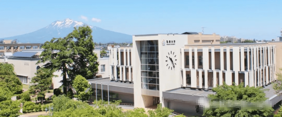 你最适合哪一种?_大学