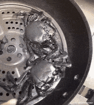 图片[2]-搞笑段子GIF：老婆今天蒸的螃蟹，快来吃-魔性次元