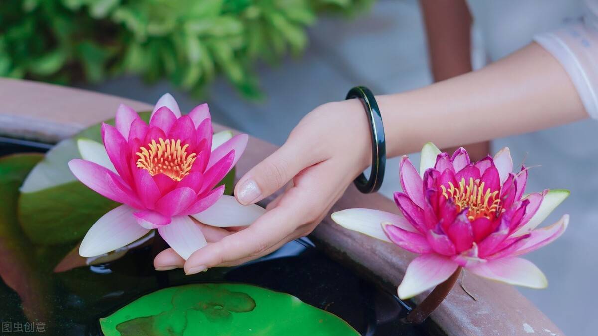 原创维摩诘经一个人的修行若能以这八个字为基准便可功德无量