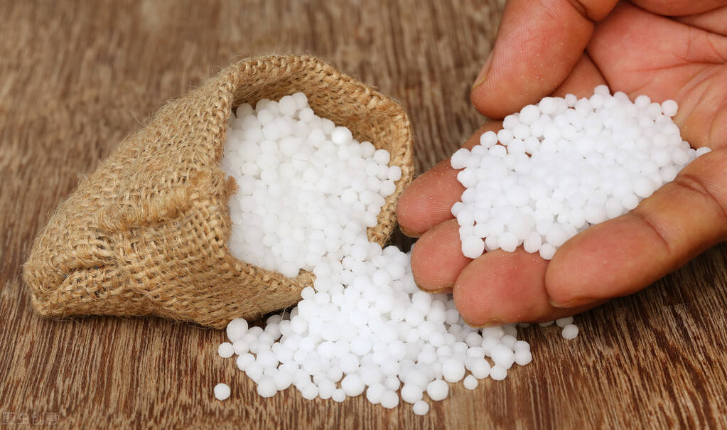 尿素是什么原因导致的 f37f60bec73f422fb3cb978df9cc4ffe.jpeg