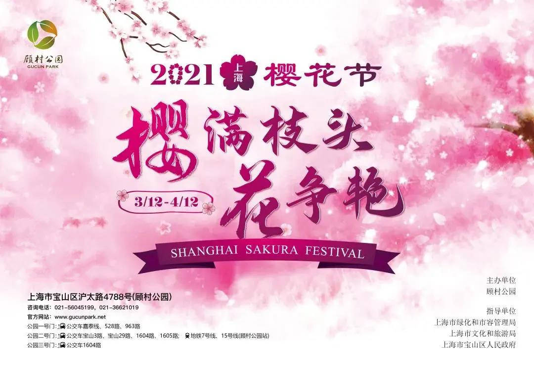 2021上海樱花节3月12日开幕！1.4万余株樱花竞相争艳