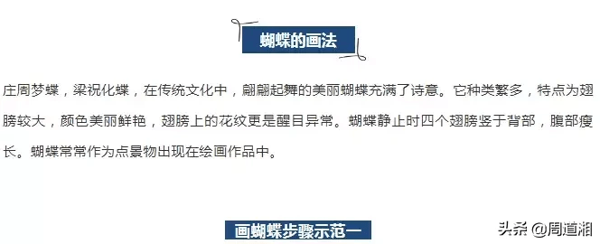 像蝴蝶那样生活,懂得在痛苦中绽放美丽,破茧成蝶,挣脱束缚.