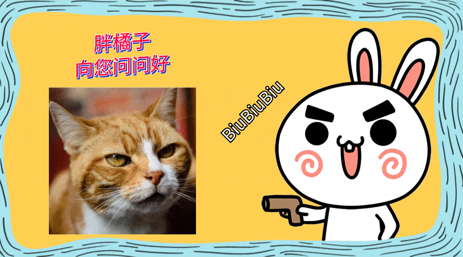 原来经常养猫的人可能不知道这些方法可以缓解猫的“便秘”