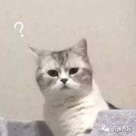 cd0a20e474a04f43ba62eb827cc0e95a.jpeg