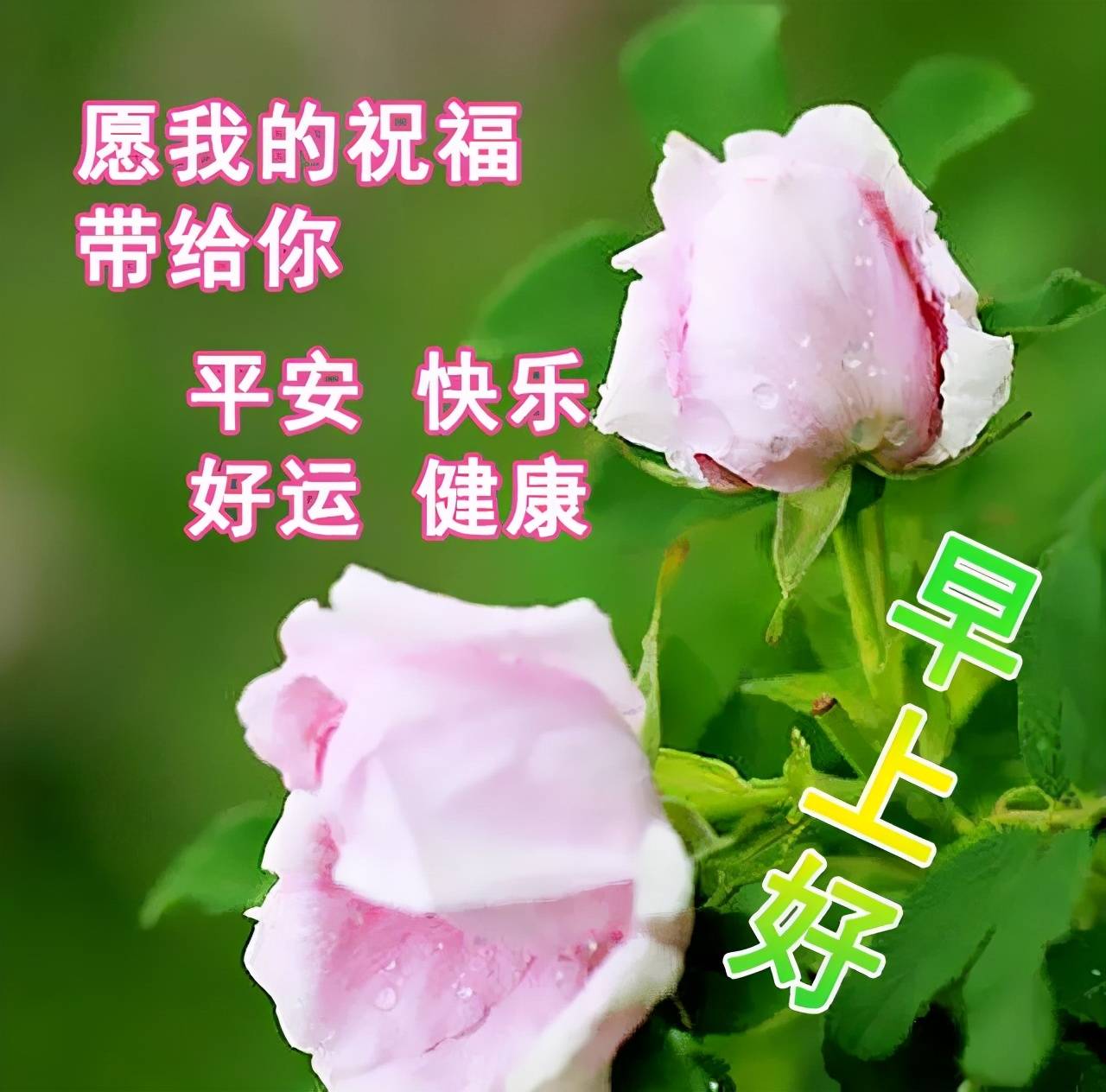 d13fb54bee5743b4a21a0a5d1db8bdd6.jpeg