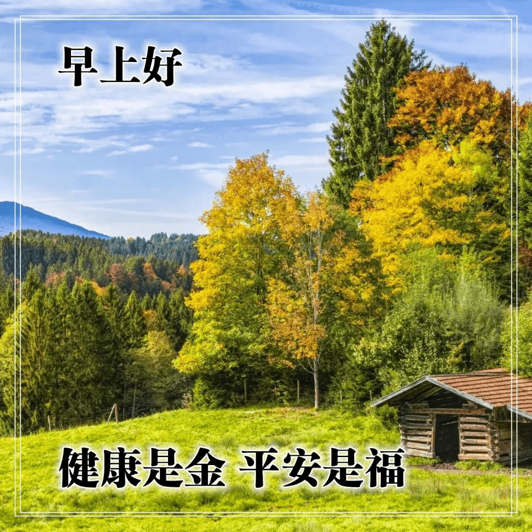 原創早上好問候語圖片新的一天早上好祝福圖片表情帶鮮花