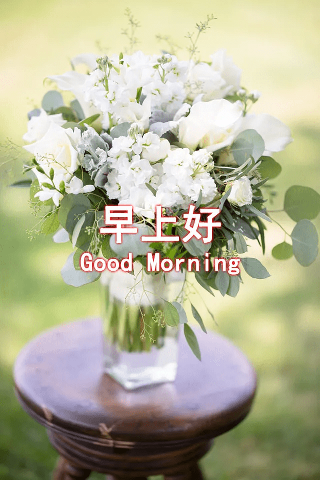 最新早安问候语动态快乐吉祥图 早安吉祥问候表情图_手机搜狐网