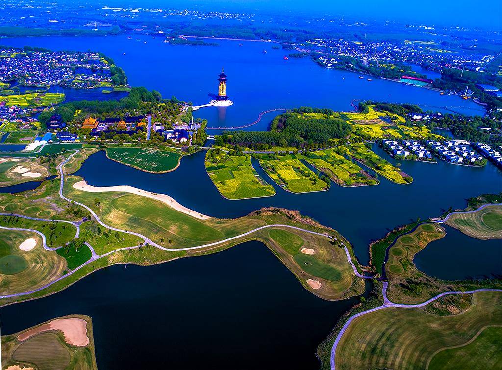 泰州有一处绝佳的赏春之地,可观鸟,可赏花,内有上千亩油菜花田_湿地