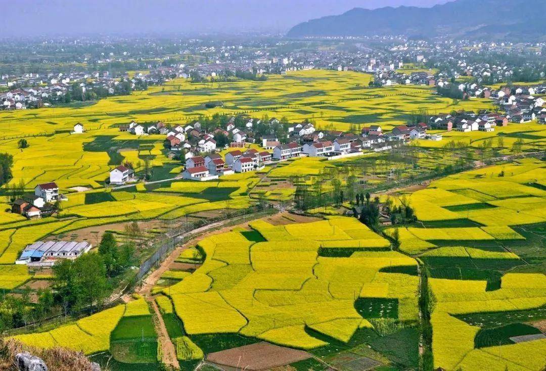 安康2020年gdp_2020年吉祥安康图片(3)