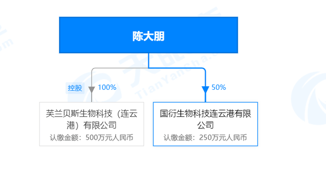 “随时约”涉嫌传销：徐州资猫信息科技被冻结965万多元(图7)