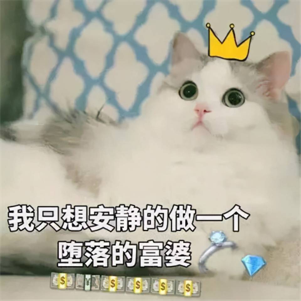 嗷嗷放开我的爪子txt下载 《嗷呜放开我的爪子》