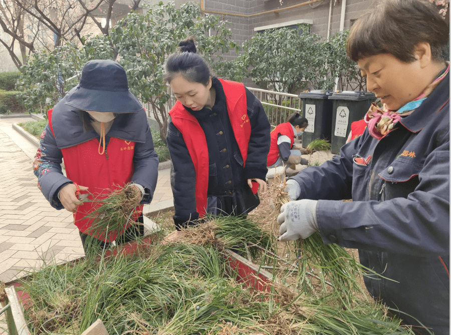 东岭社区开展植树节主题活动